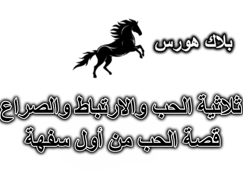 ثلاثية الحب والارتباط والصراع – قصة الحب من أول سفهة