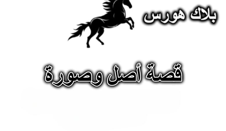 قصة أصل وصورة