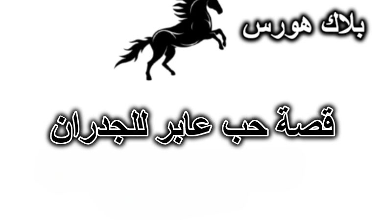 قصة حب عابر للجدران