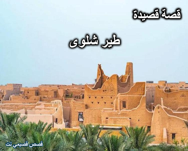 قصة طير شلوى