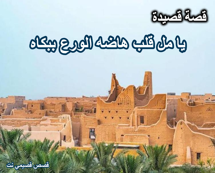 قصة قصيدة يامل قلب هاضه الورع ببكاه