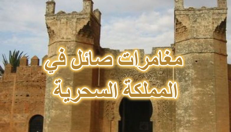 مغامرات صائل في المملكة السحرية