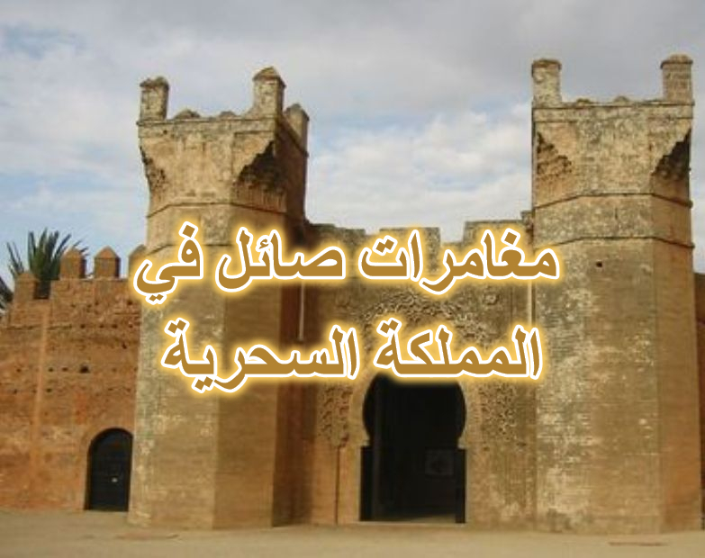 مغامرات صائل في المملكة السحرية