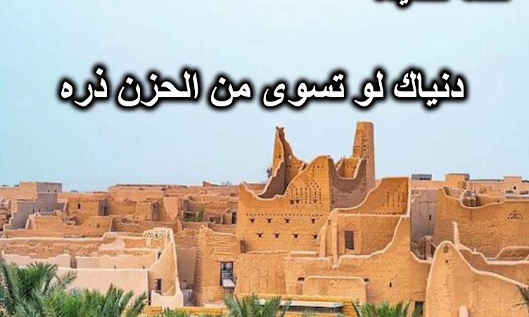 دنياك لو تسوى من الحزن ذره