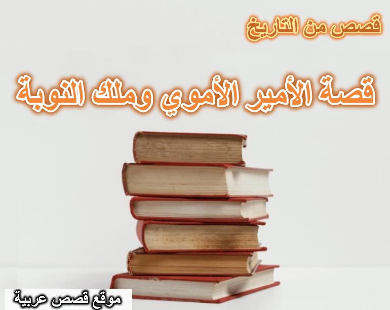قصة الأمير الأموي وملك النوبة