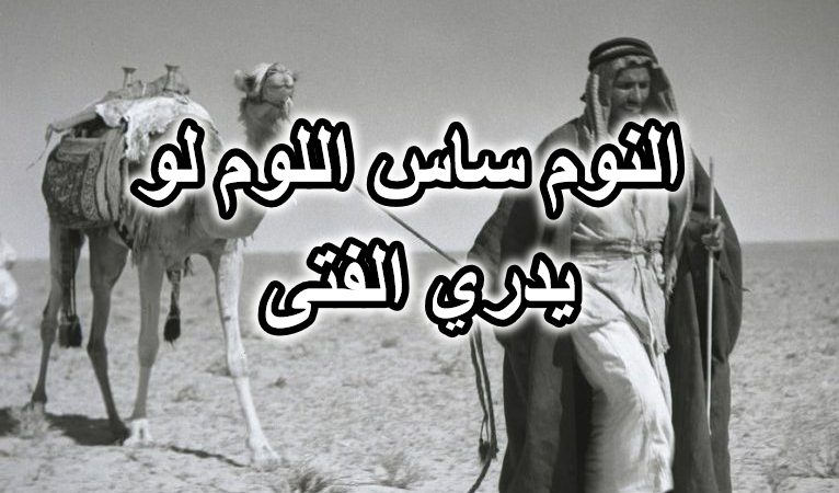 النوم ساس اللوم لو يدري الفتى