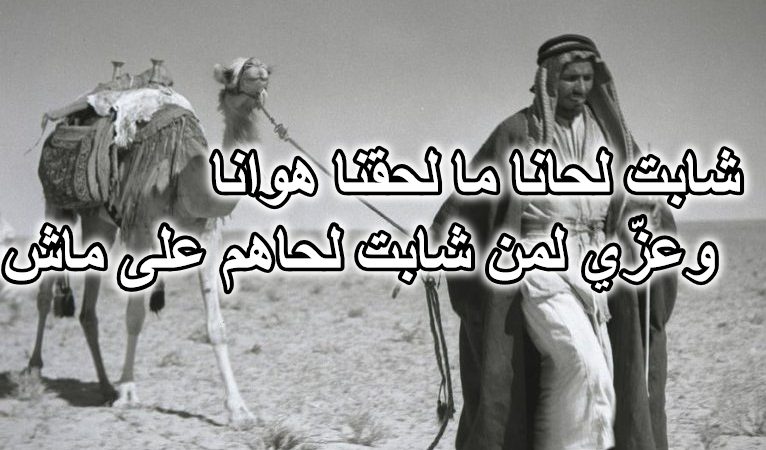 شابت لحانا ما لحقنا هوانا