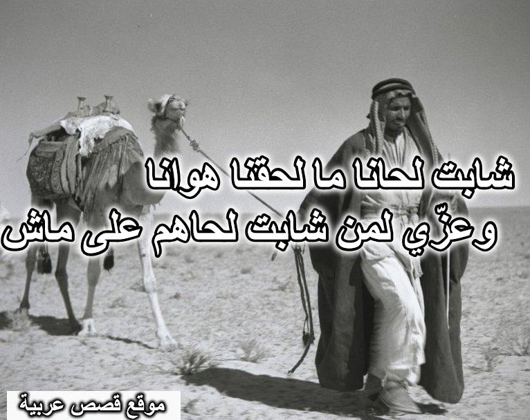 شابت لحانا ما لحقنا هوانا