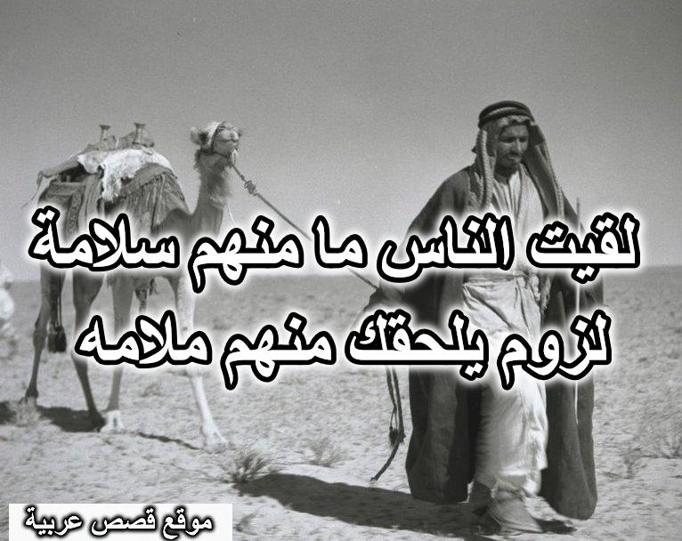لقيت الناس ما منهم سلامة لزوم يلحقك منهم ملامه