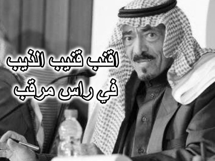 اقنب قنيب الذيب في راس مرقب