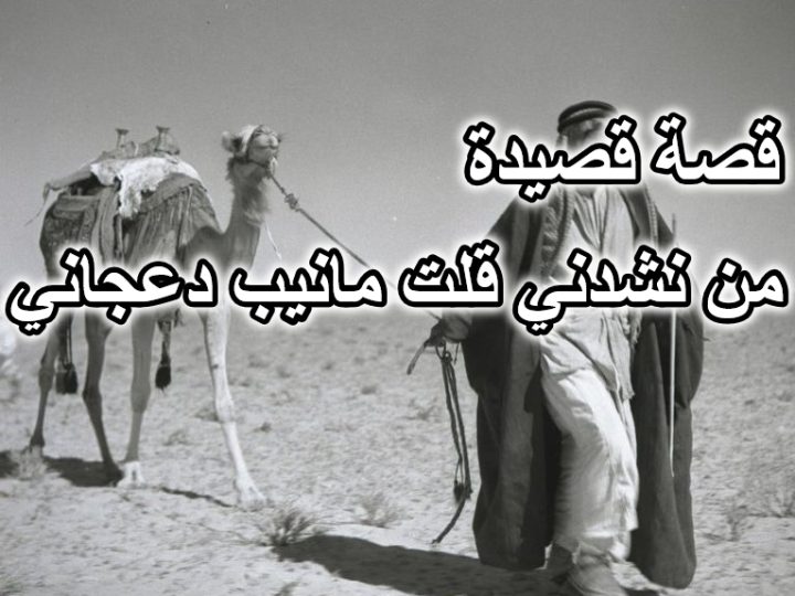 قصيدة من نشدني قلت مانيب دعجاني