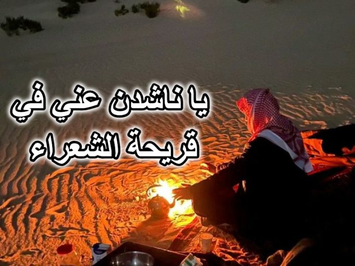 يا ناشدن عني في قريحة الشعراء