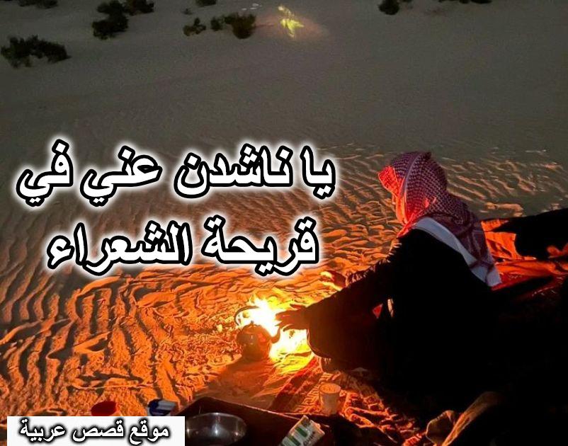 يا ناشدن عني في قريحة الشعراء