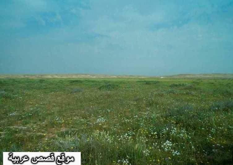 اين تقع الصمان